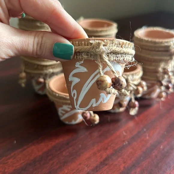 18 Mini Monstera Pots - Picture 2 of 5